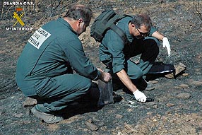 Dos agentes del Seprona investigando las causas del  incendio forestal