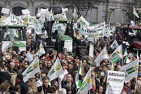 La Cooperativa Agrícola,  integrada en FAECA, aglutinó a los agricultores ruteños que se manifestaron  (Foto: Diario Córdoba)