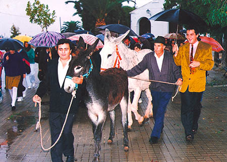 Pascual  Rovira con Alambique, el burro que regaló hace 25 años a la Fundación