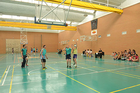 En el torneo han participado 28 estudiantes del  instituto, repartidos en siete equipos mixtos de cuatro jugadores