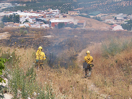 El fuego consumió hierba seca en la zona conocida del  Tajón de los Guillejos